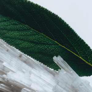 Jo Malone Wood Sage Sea Salt perfume cologne buy witg discount Perfume Jungle EU